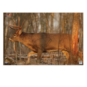 Birchwood Casey 37481 EZE-Scorer  Whitetail Deer Paper Hanging 23" x 35" Multi-Color 2 Per Pkg