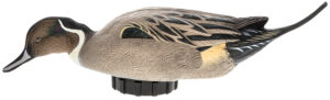 Avian X AVXPSHPNSF Power Shaker  Pintail Surface Feeder Duck Decoy Multi-Color