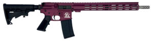 Great Lakes Firearms GL15223SSCHY AR-15  223 Wylde 16" Stainless 30+1, Black Cherry Rec, Black Stock & Grip