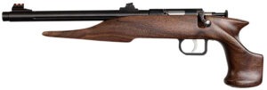 Chipmunk 40001 Hunter  Youth Frame 22 S/L/LR Single Shot 9" Threaded Blued Steel Barrel, Walnut Frame, EZ Loader