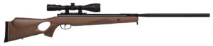 Benjamin BT725WNP Trail XL  Nitrogen Piston 25 Pellet Black Hardwood Fixed Thumbhole Stock 3-9x40mm AO